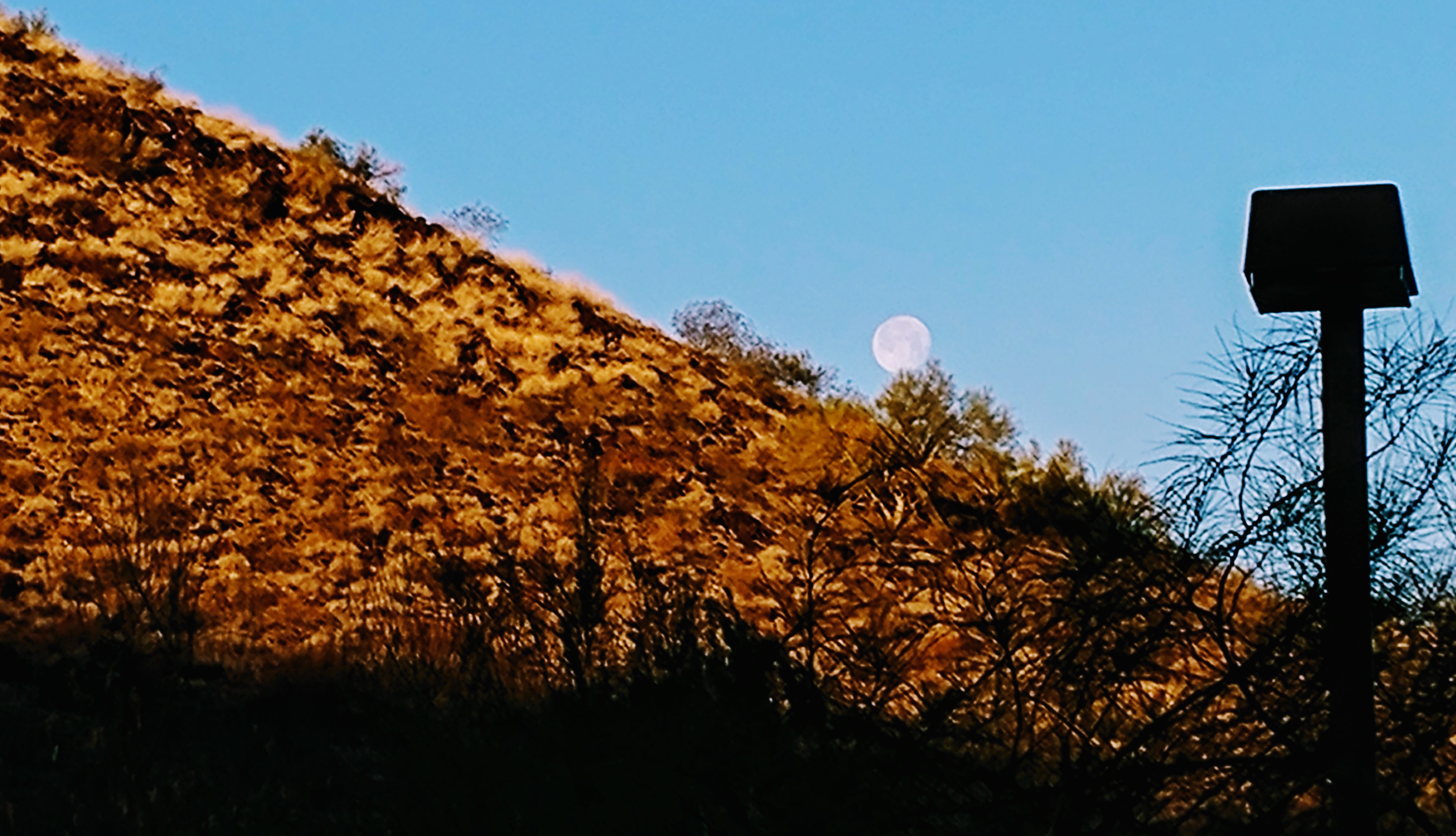 Moon setting behind Shaw Butte.