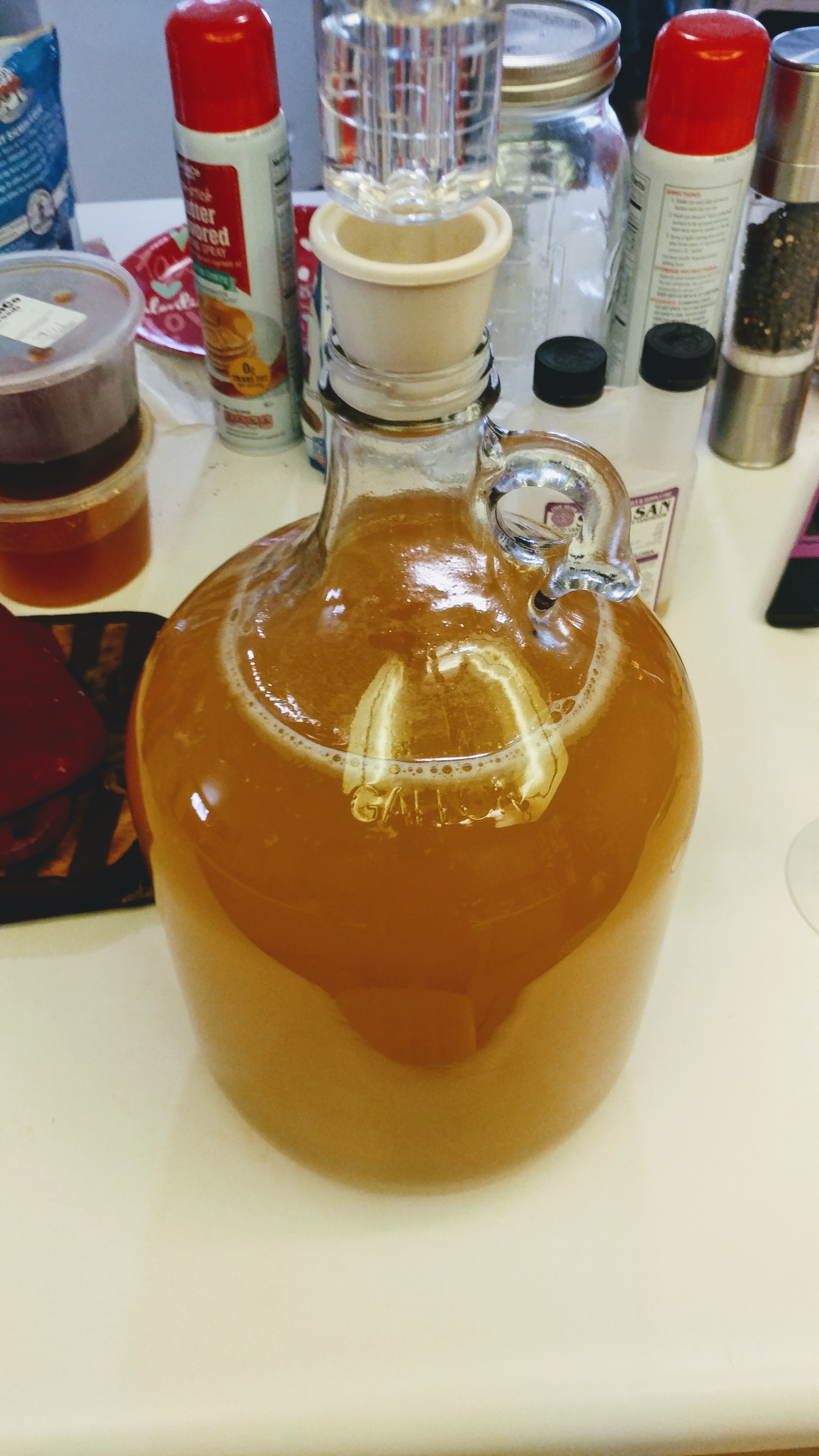 Mead in carboy