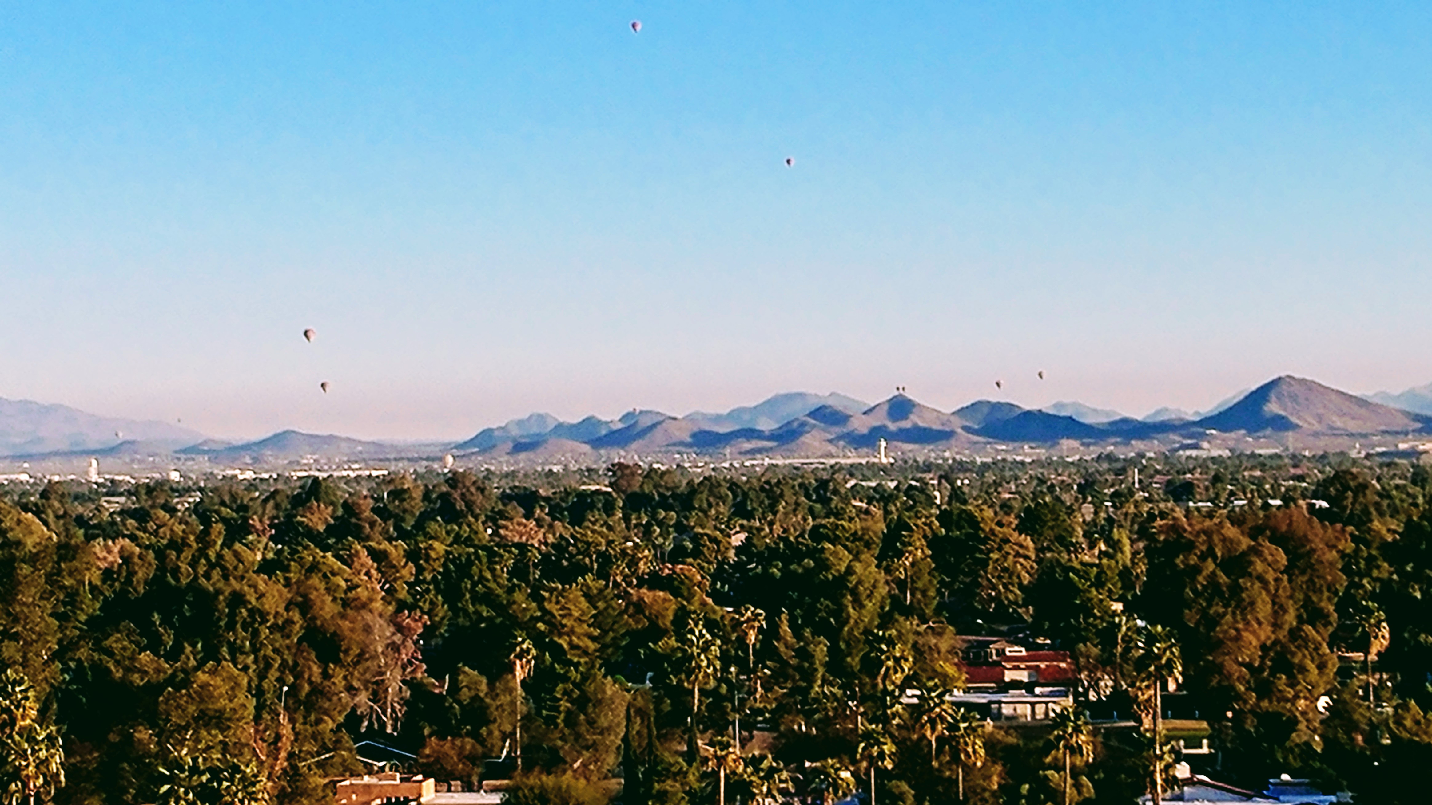 Hot Air Balloons to the north of Shaw Butte