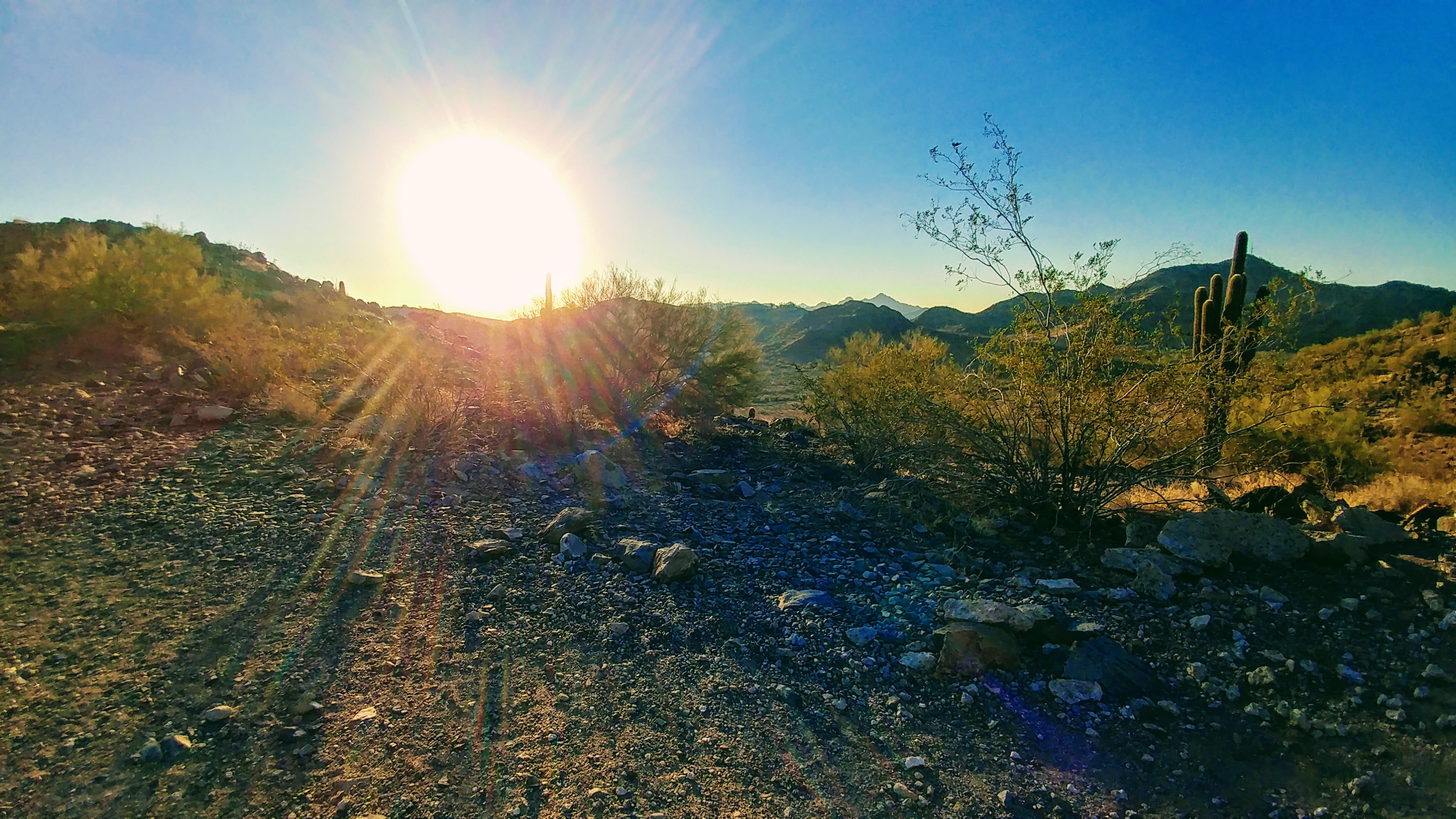 Sunrise over Shaw Butte.