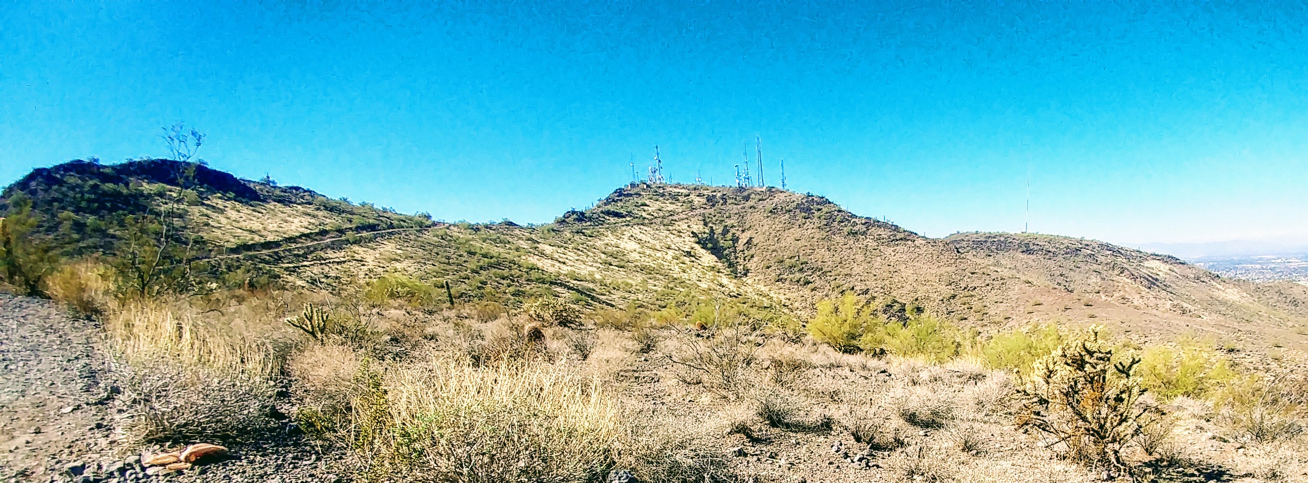 Looking up at Shaw Butte.