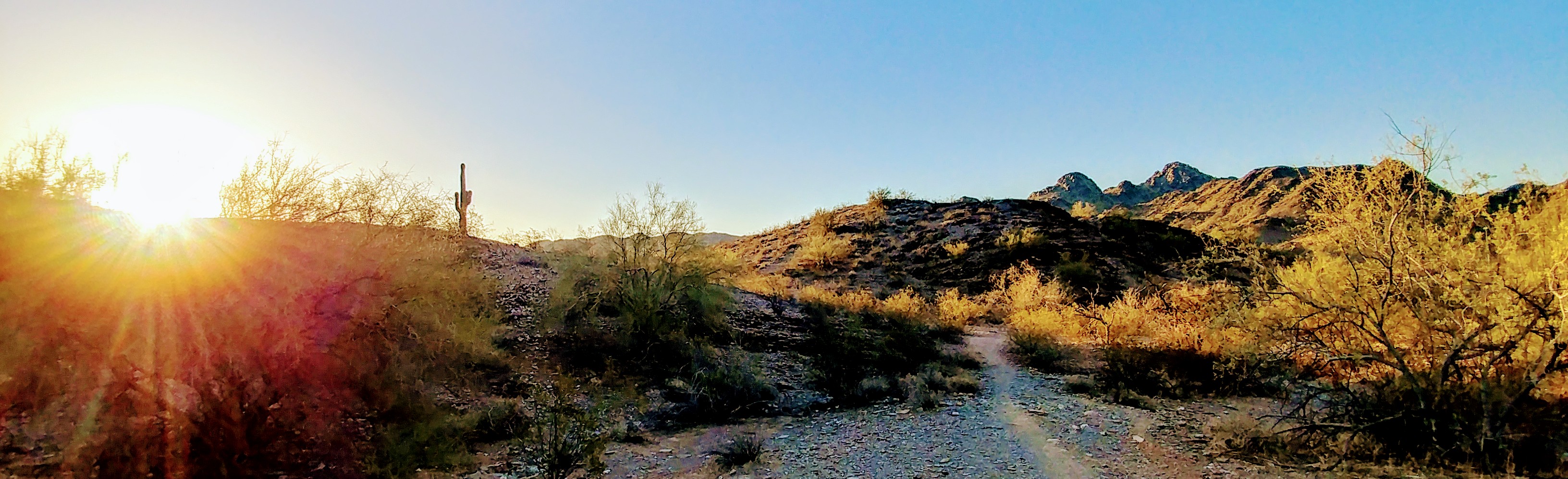 Sunrise on Trail 100