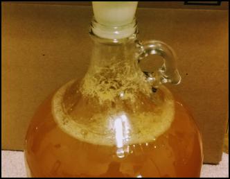 Image ofHomebrewing