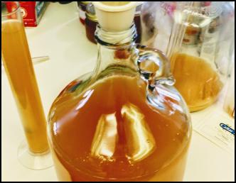 Image ofHomebrewing